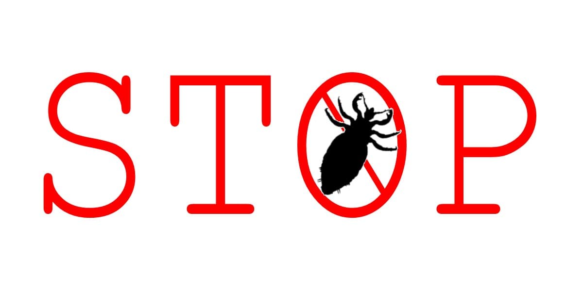 Stop written in red with a head lice warning sign to show Lice Free Clinics no lice will make it out of their doors