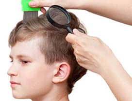 child with short hair being checked for head lice with a comb out and magnified glass 