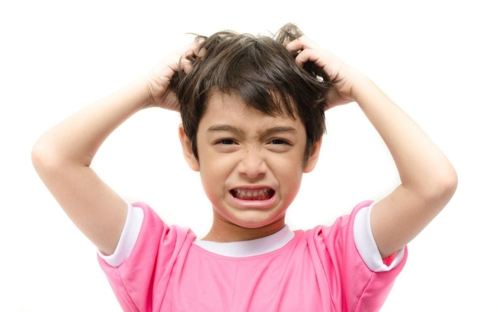 Signs Your Child May Have Head Lice